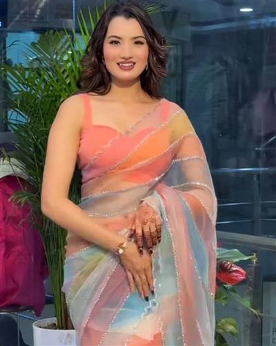 PURE SOFT ORGANZA TABBY SILK FABRIC IN BEAUTIFUL MULTY PRINT WITH REAL CUT DANA C-PALLU KHATLI CUT D