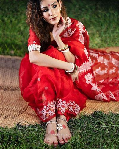 HEAVY SOFT ORGANZA FABRIC ON BEAUTIFUL C-PALLU EMBRODERY HEAVY MULTI THREAD WORK ON SAREE